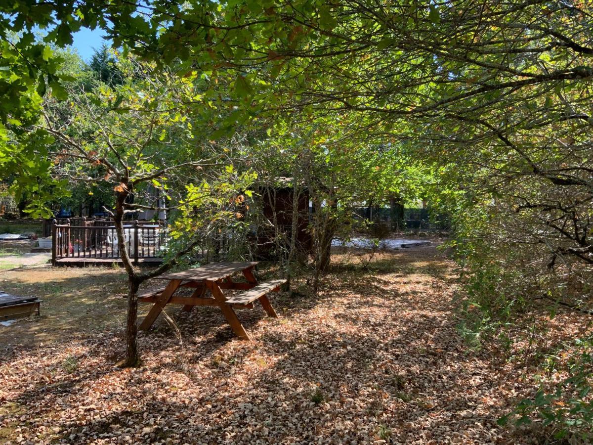 Bed and Breakfast Domaine De Labelo Commensacq Экстерьер фото