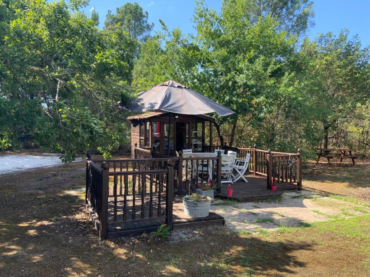 Bed and Breakfast Domaine De Labelo Commensacq Экстерьер фото